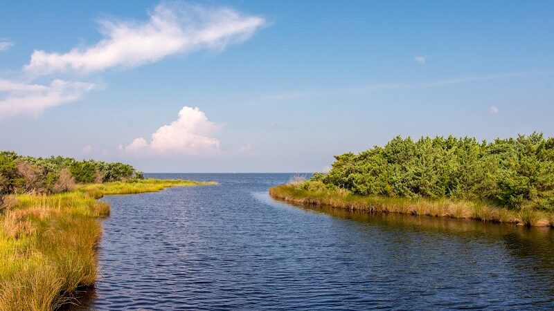 Salvo Day Use Area - Salvo, NC