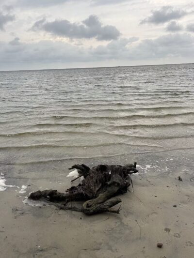 Salvo Day Use Area - Salvo, NC