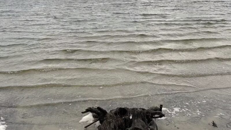 Salvo Day Use Area - Salvo, NC