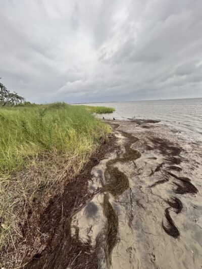 Salvo Day Use Area - Salvo, NC