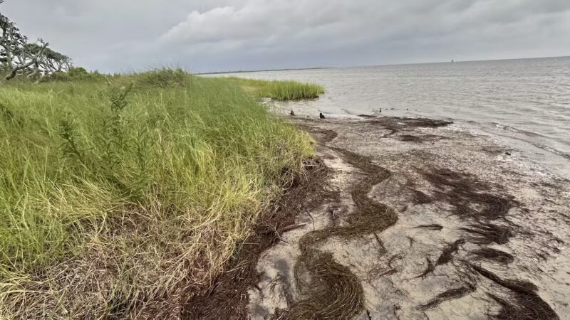 Salvo Day Use Area - Salvo, NC