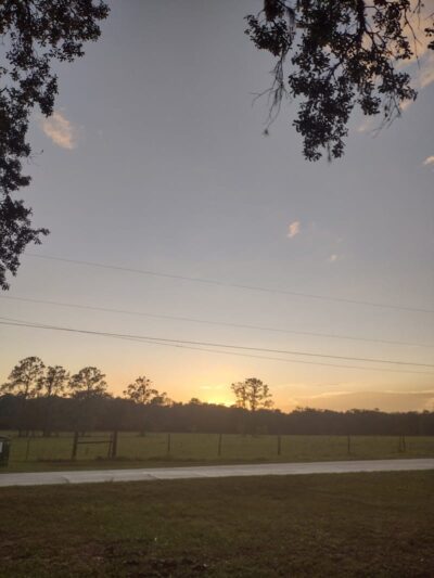 Rosewood Dog Park - San Antonio, FL