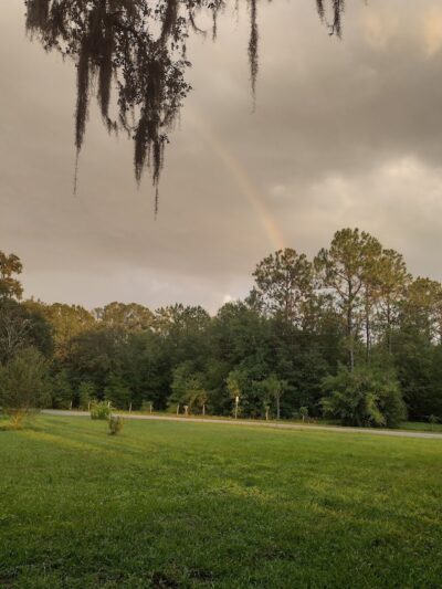 Rosewood Dog Park - San Antonio, FL