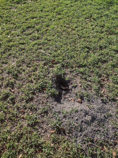 Rosewood Dog Park - San Antonio, FL