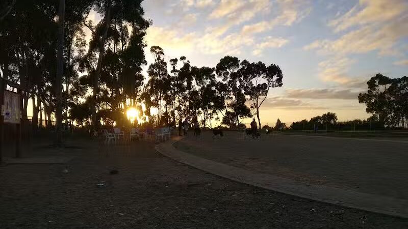 Torrey Highlands Dog Park - San Diego, CA