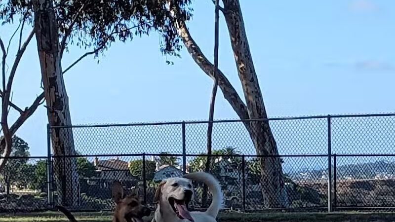 Torrey Highlands Dog Park - San Diego, CA
