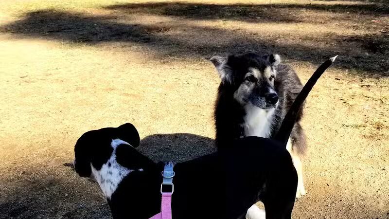 Torrey Highlands Dog Park - San Diego, CA