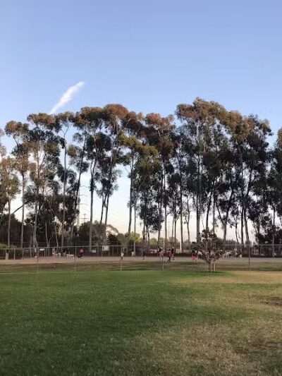 Torrey Highlands Dog Park - San Diego, CA