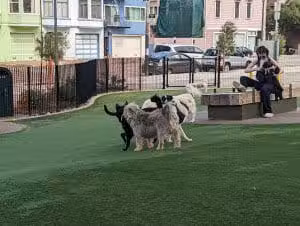 Francisco Park - San Francisco, CA