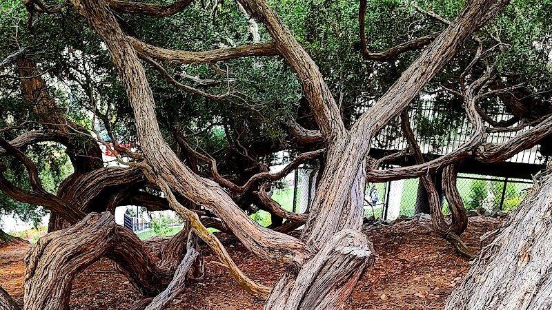 Francisco Park - San Francisco, CA