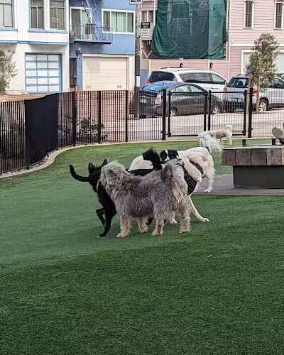 Francisco Park - San Francisco, CA