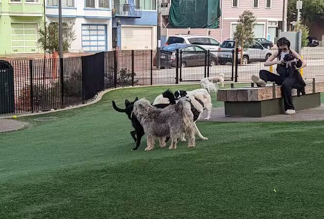 Francisco Park - San Francisco, CA