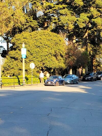 GGP Dog Play Area 1 - San Francisco, CA