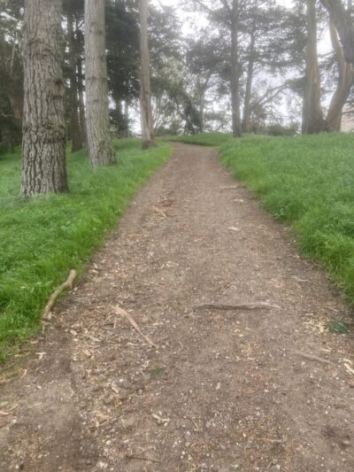 GGP Dog Play Area 1 - San Francisco, CA