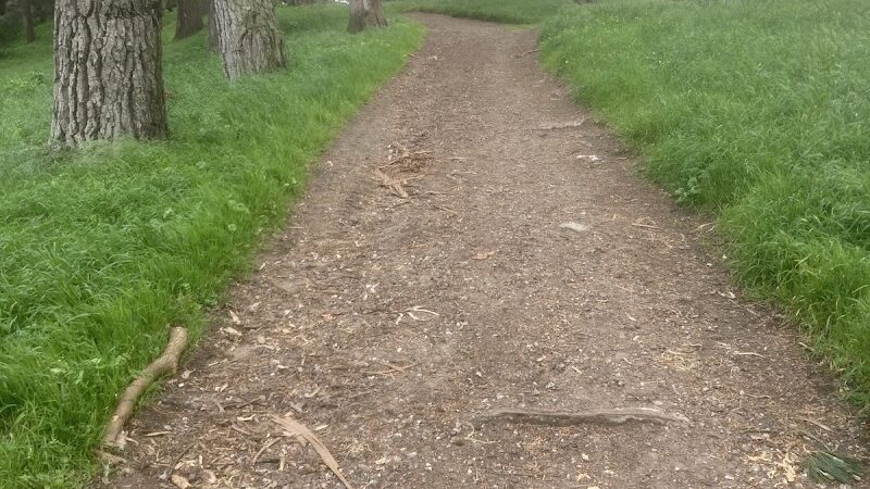 GGP Dog Play Area 1 - San Francisco, CA