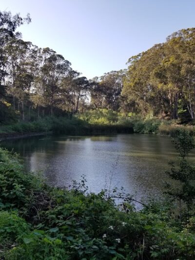 Pine Lake Park - San Francisco, CA