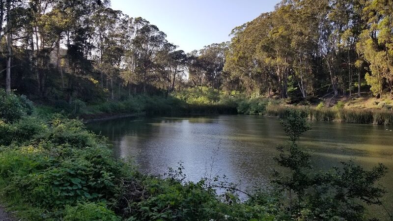 Pine Lake Park - San Francisco, CA