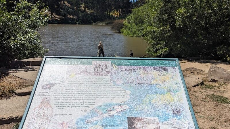 Pine Lake Park - San Francisco, CA