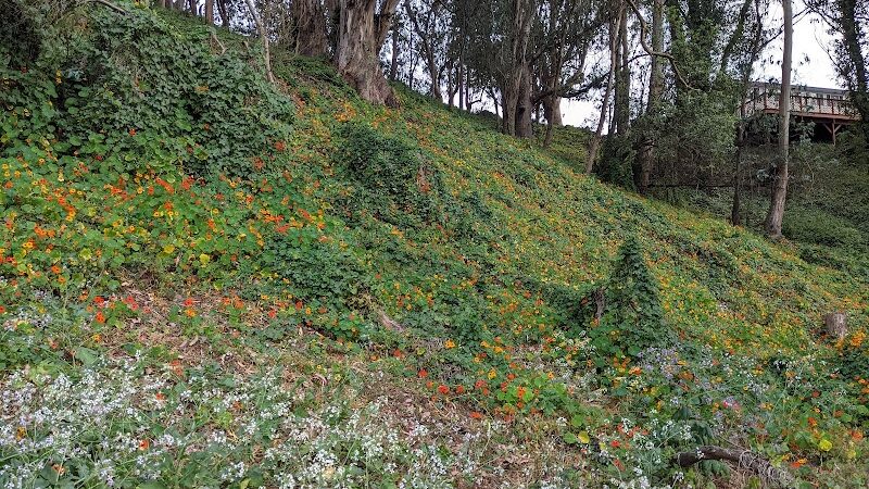 Pine Lake Park - San Francisco, CA