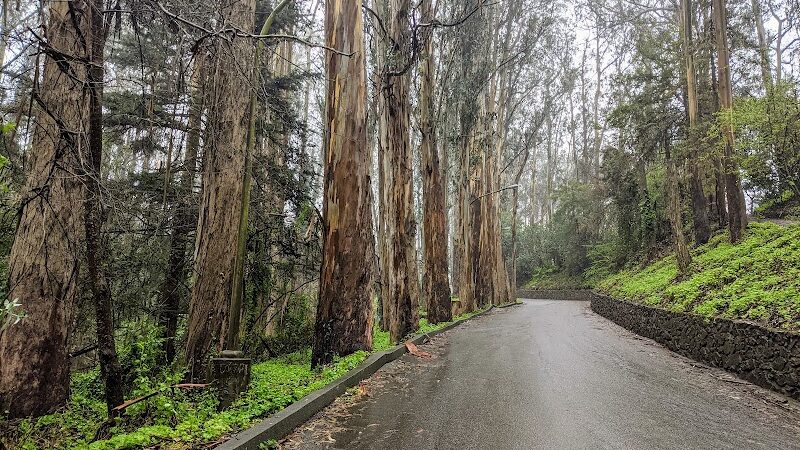 Pine Lake Park - San Francisco, CA