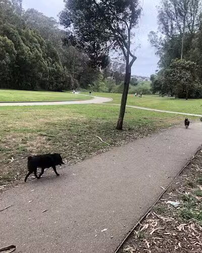 Pine Lake Park - San Francisco, CA
