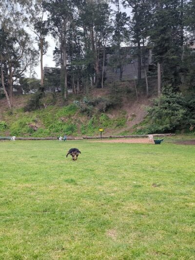 Upper Douglass Dog Play Area - San Francisco, CA