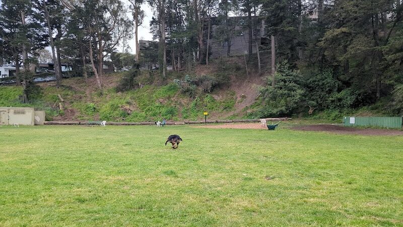 Upper Douglass Dog Play Area - San Francisco, CA