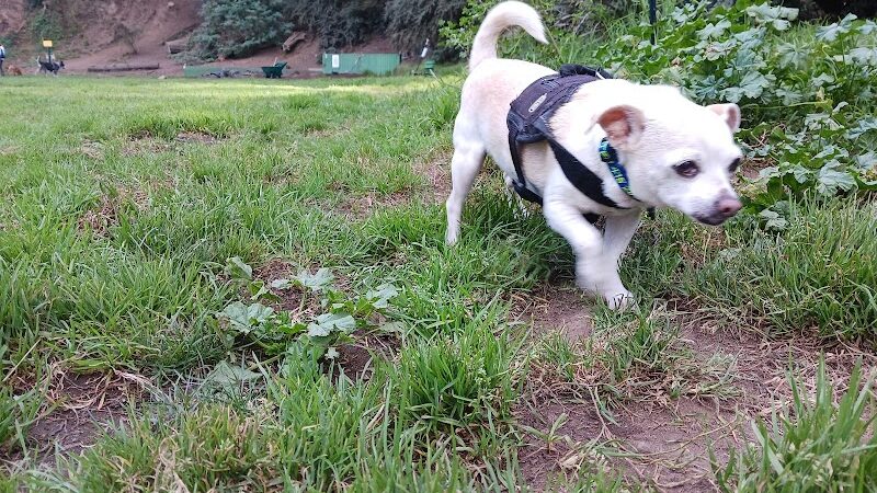 Upper Douglass Dog Play Area - San Francisco, CA