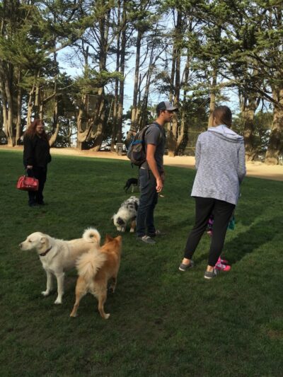 Upper Douglass Dog Play Area - San Francisco, CA