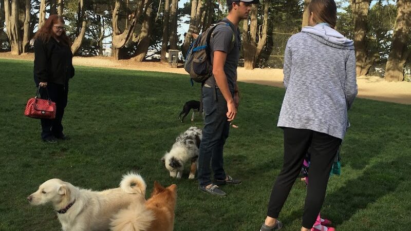 Upper Douglass Dog Play Area - San Francisco, CA