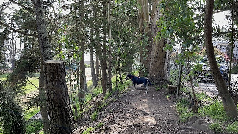Upper Douglass Dog Play Area - San Francisco, CA