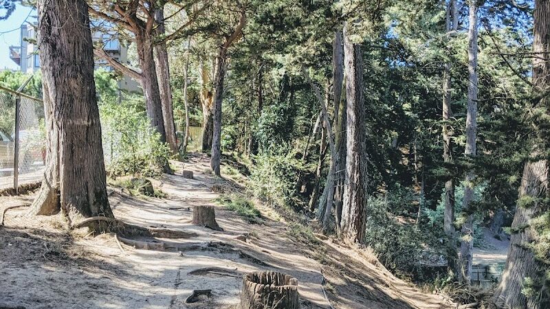 Upper Douglass Dog Play Area - San Francisco, CA