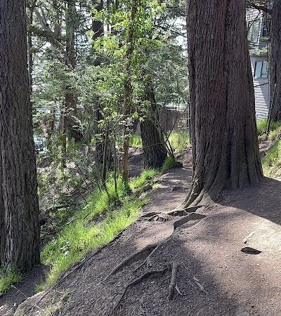 Upper Douglass Dog Play Area - San Francisco, CA