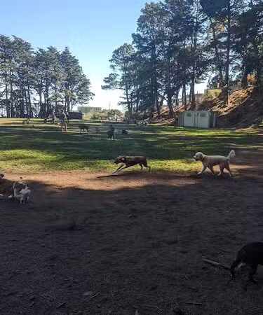 Upper Douglass Dog Play Area - San Francisco, CA