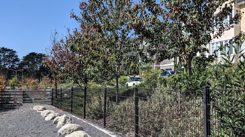 Brotherhood Mini Dog Park - San Francisco, CA