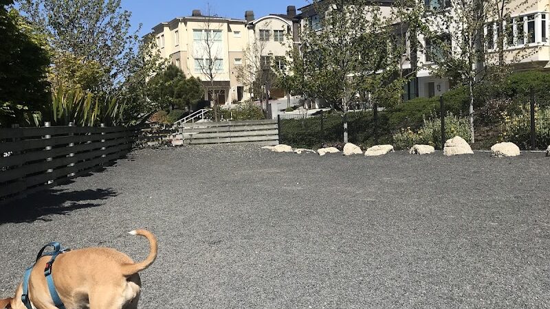 Brotherhood Mini Dog Park - San Francisco, CA