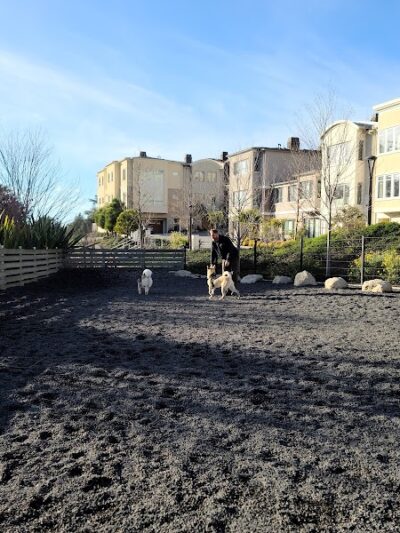 Brotherhood Mini Dog Park - San Francisco, CA