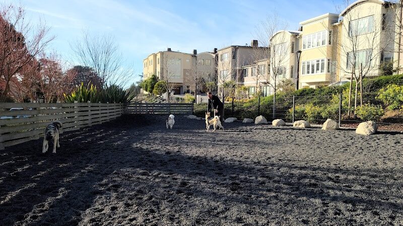 Brotherhood Mini Dog Park - San Francisco, CA