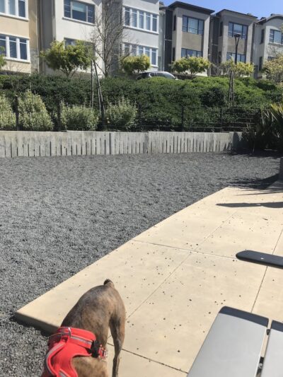 Brotherhood Mini Dog Park - San Francisco, CA