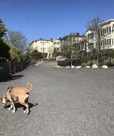 Brotherhood Mini Dog Park - San Francisco, CA