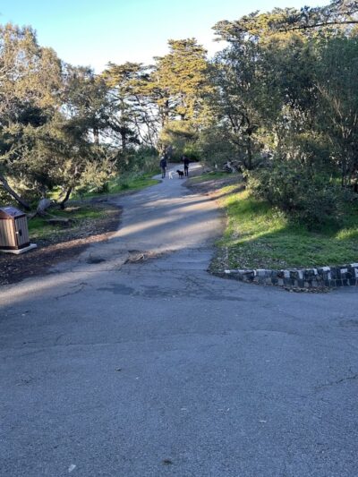 Buena Vista Dog Play Area - San Francisco, CA