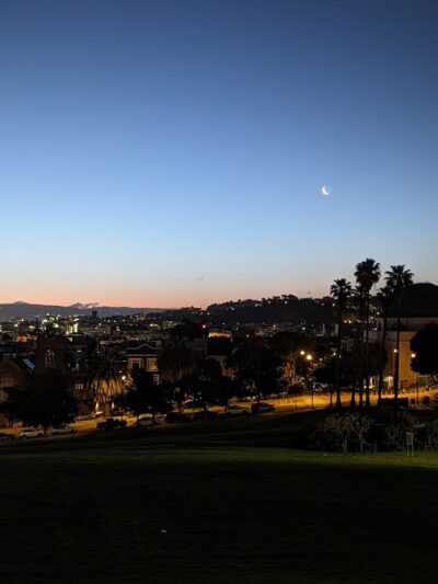 Buena Vista Dog Play Area - San Francisco, CA