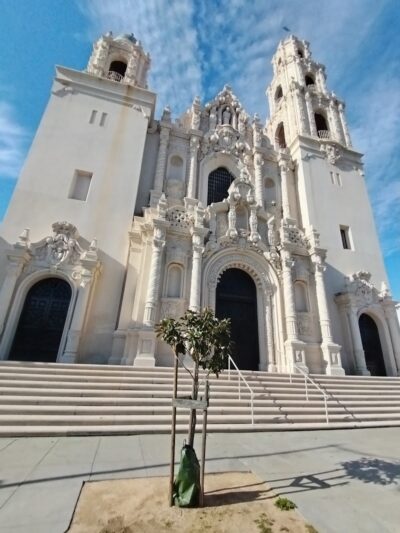 Buena Vista Dog Play Area - San Francisco, CA