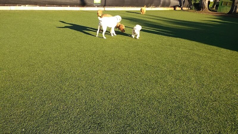 Dog Park | Moscone Park - San Francisco, CA