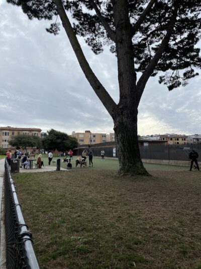 Dog Park | Moscone Park - San Francisco, CA