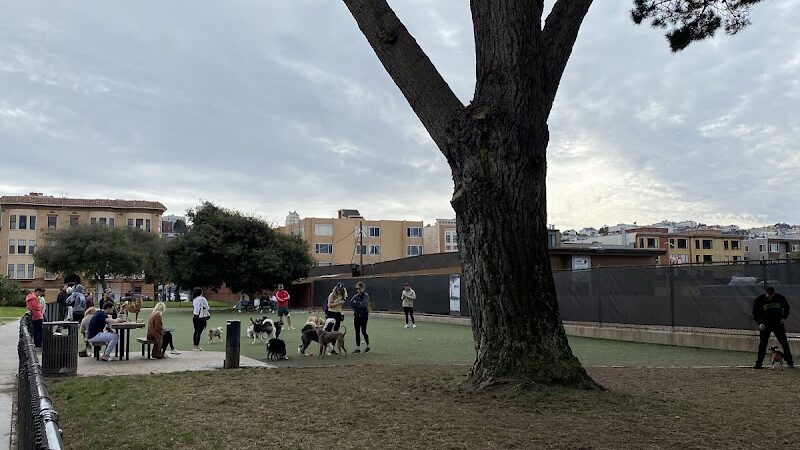 Dog Park | Moscone Park - San Francisco, CA
