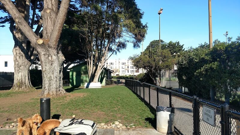 Dog Park | Moscone Park - San Francisco, CA