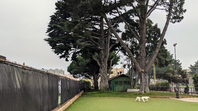 Dog Park | Moscone Park - San Francisco, CA