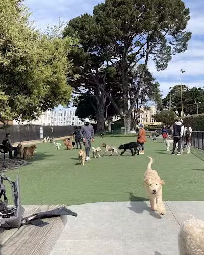 Dog Park | Moscone Park - San Francisco, CA