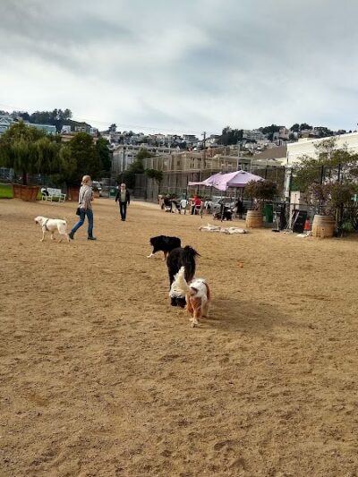 Eureka Valley Dog Play Area - San Francisco, CA